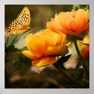 Poster Cartaz de Borboleta em Flores Laranja