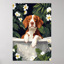 Cartaz de Brittany Spaniel na Banheira, Cachorro E