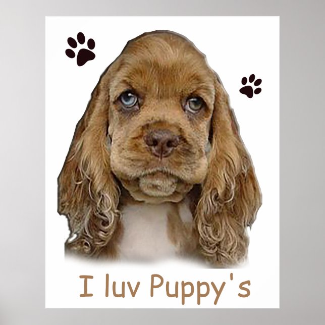 Poster cartaz de cachorrinho cocker spaniel (Frente)