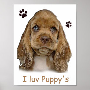 Poster cartaz de cachorrinho cocker spaniel