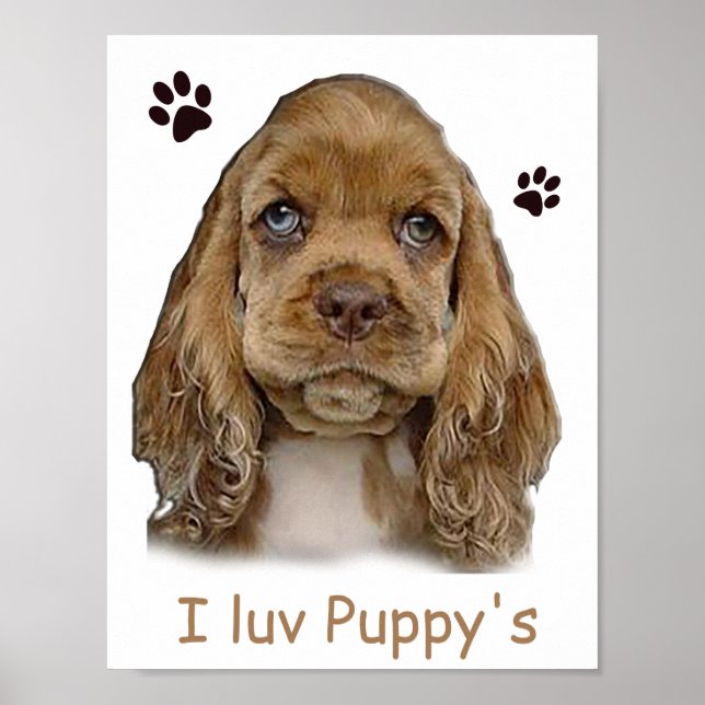 Poster cartaz de cachorrinho cocker spaniel (Frente)