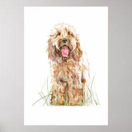 Poster Cartaz de Cachorro Cockapoo, Arte de Parede em Aqu
