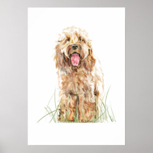 Poster Cartaz de Cachorro Cockapoo, Arte de Parede em Aqu