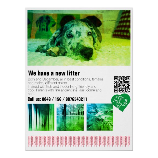 Pôster Cartaz de cachorro da raça Dogue Alemão Designer (Frente)