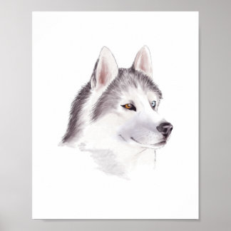 Poster cartaz de cachorro Husky / cartazes de animais