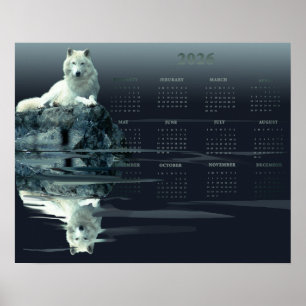 Poster Cartaz de Calendário Anual Lobo Branco, Cartaz de