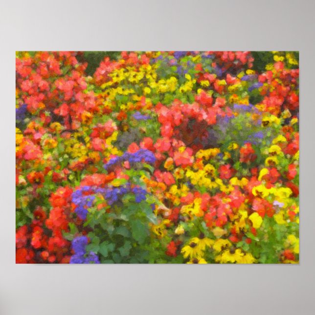 Poster Cartaz de Campo de Flores (Frente)