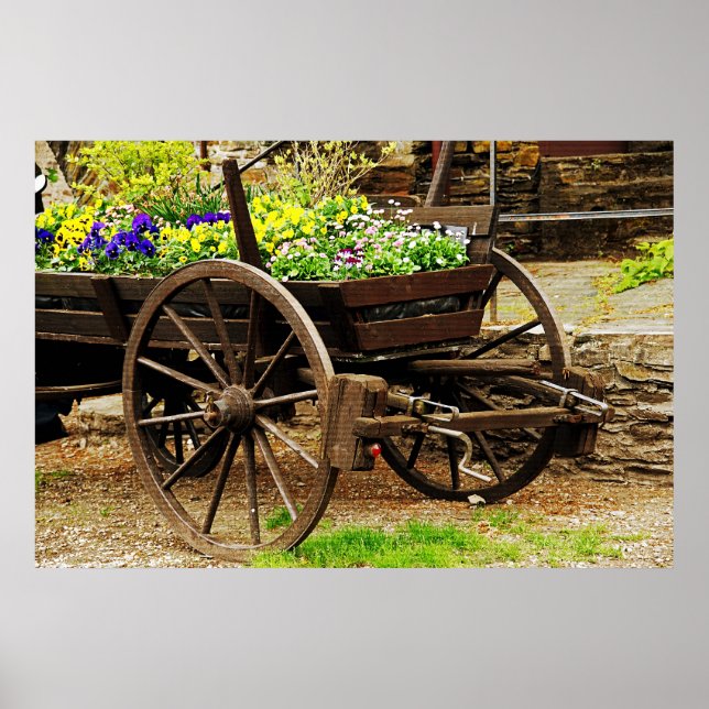 Poster Cartaz de Carrinho de Flores (Frente)