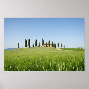 Poster Cartaz de casa de campo na Toscana com ciprestes