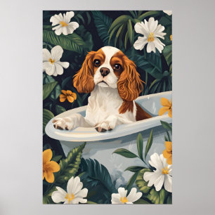 Poster Cartaz de Cavalier King Charles Spaniel na Banheir