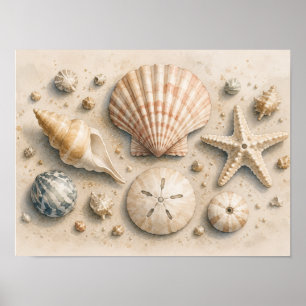 Poster Cartaz de Coleção de Conchas Costeiro Aquarela