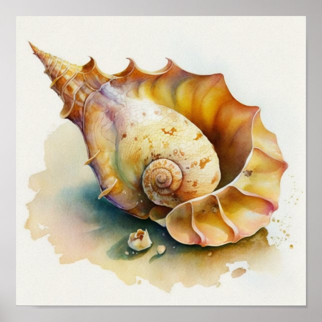 Poster cartaz de concha Haliotis em aquarela (Frente)