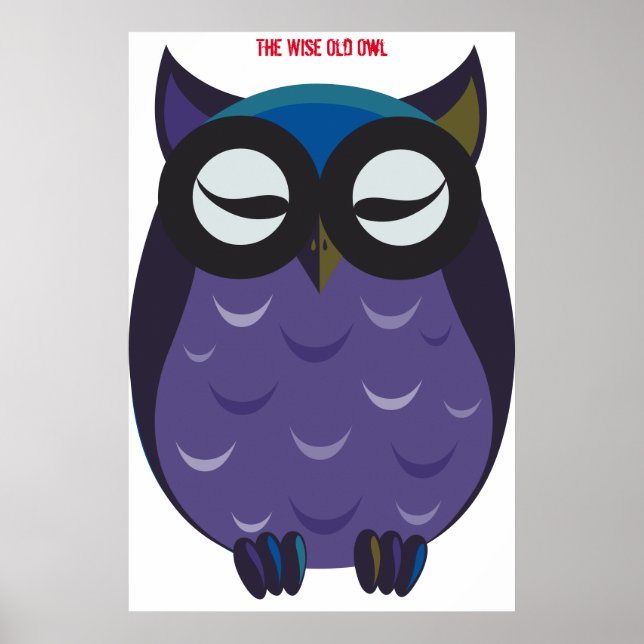 Poster Cartaz de Coruja Velha Sábia (Frente)