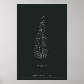 Poster Cartaz de Desenho Botânico de Samambaia, Dark Acad