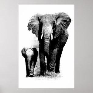 Pôster Cartaz de Elefante & Elefante Bebê BW
