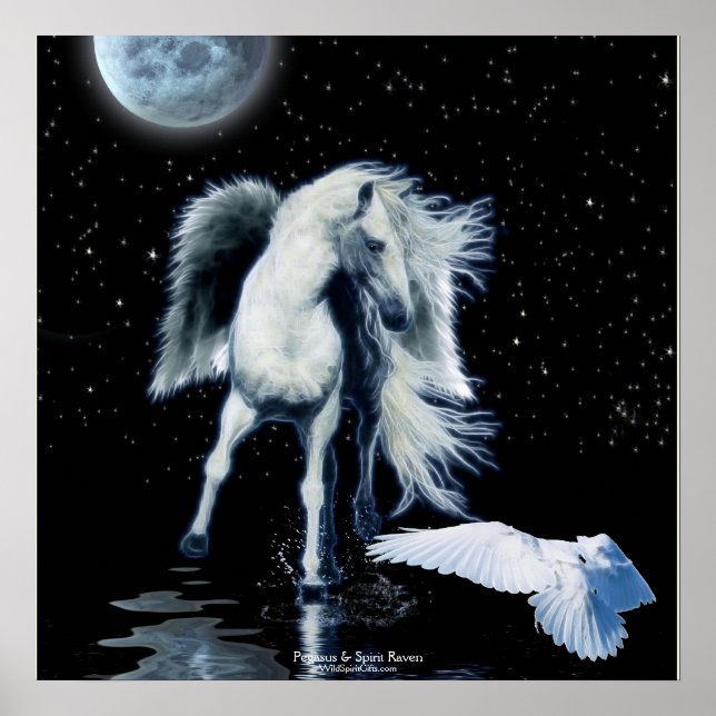 Pôster Cartaz de fantasia PEGASUS & WHITE RAVEN (Frente)