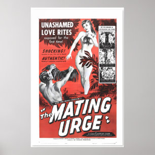 Poster Cartaz de Filme dos Anos 1950 The Mating Urge Adul
