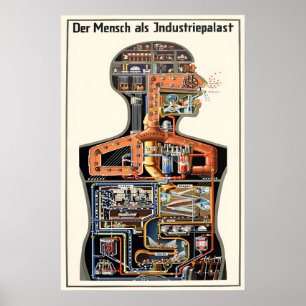 Poster Cartaz de filme Fritz Kahn 'Homem como Palácio Ind