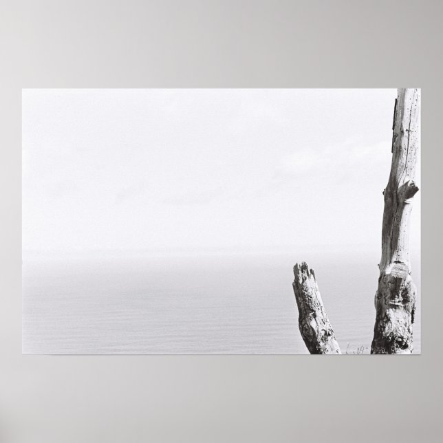 Pôster Cartaz de Filme Kodak Minimalista Monocromático de (Frente)