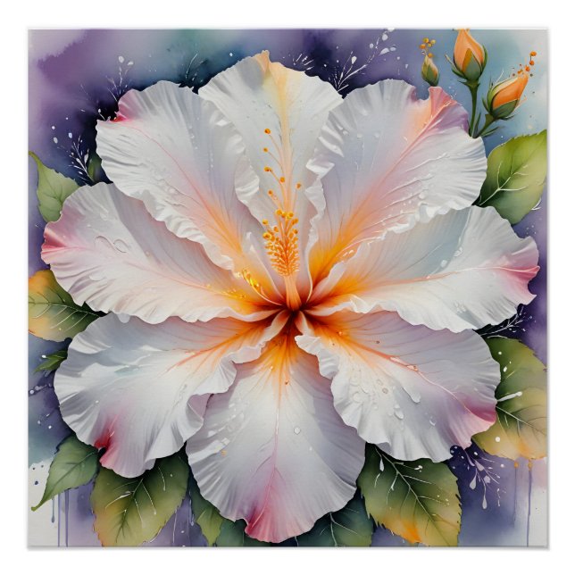 Pôster cartaz de flor de hibisco branco (Frente)
