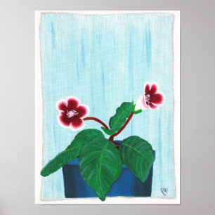 Pôster Cartaz de Flor de Violeta Africana Gloxinia Branca