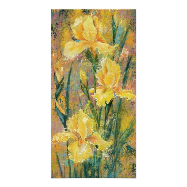 Pôster Cartaz de Flores de Íris Amarela (Frente)