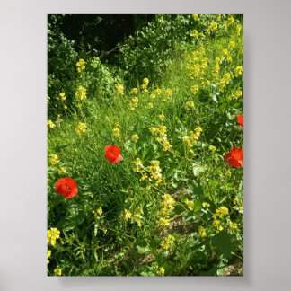 Poster Cartaz de Flores Silvestres Vermelhas em Prado de