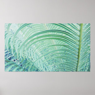 Pôster Cartaz de Folhas de Palmeira de Planta Verde Macia