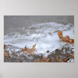 Poster Cartaz de Folhas Presas no Gelo
