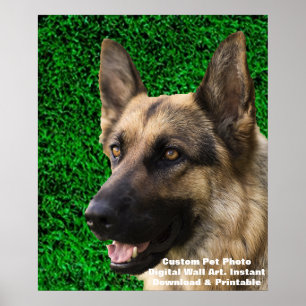 Poster Cartaz de Foto de Cachorro Personalizado - Memoria