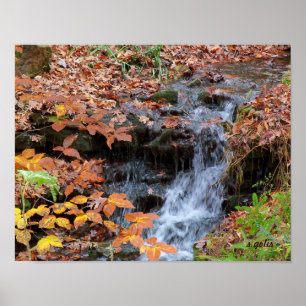 Pôster Cartaz de Foto de Folhas de Outono e Cachoeira