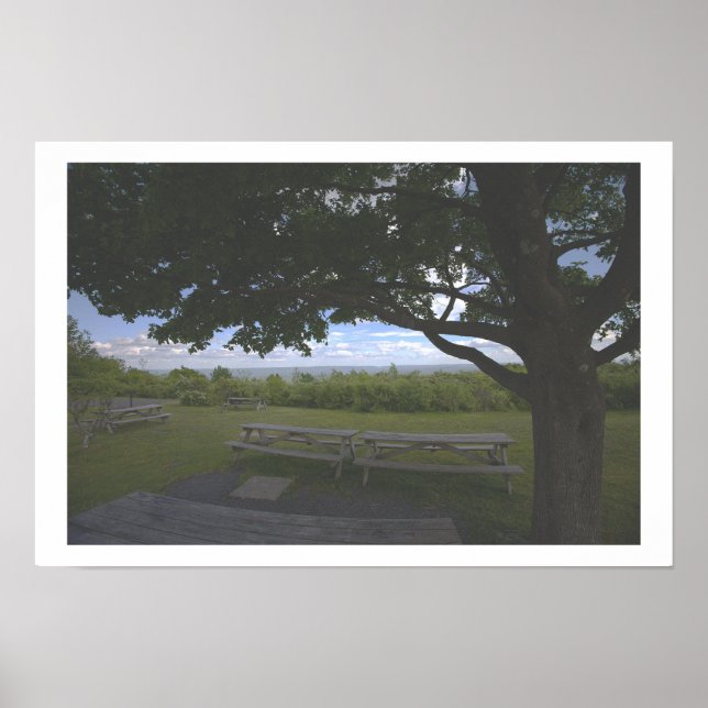 Poster Cartaz de Foto de Paisagem de Árvore (Frente)
