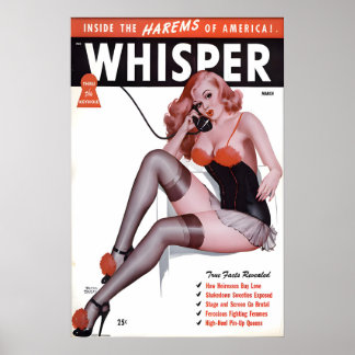 Poster Cartaz de Garota Pin Up dos Anos 40 e Tela por Den