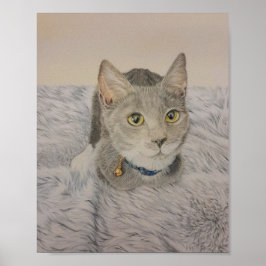 Poster Cartaz de Gatinho Cinza