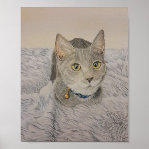Poster Cartaz de Gatinho Cinza