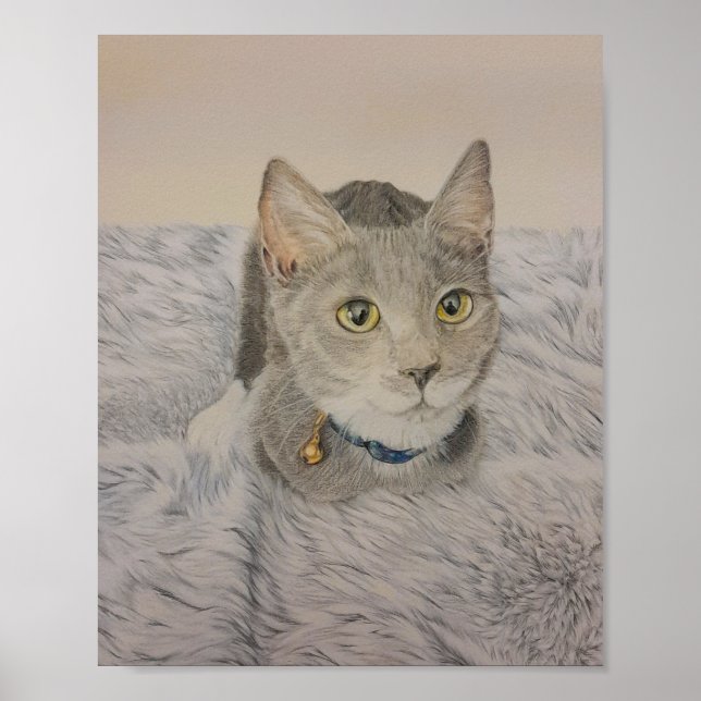 Poster Cartaz de Gatinho Cinza (Frente)