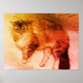 Poster Cartaz de gato