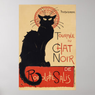 Poster Cartaz de Gato Francês
