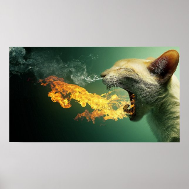 Poster Cartaz de Gato Respirando Fogo (Frente)