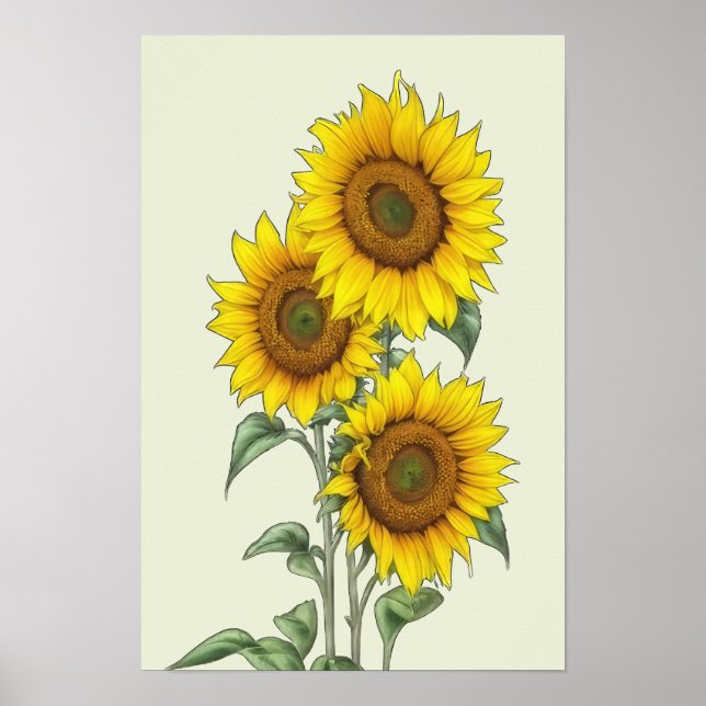 Poster Cartaz de Girassol em Aquarela (Frente)