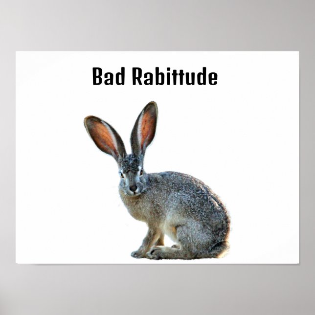 Poster Cartaz de Humor do Coelho com Mau Comportamento (Frente)