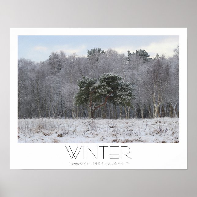 Poster Cartaz de Inverno Lindo! (Frente)