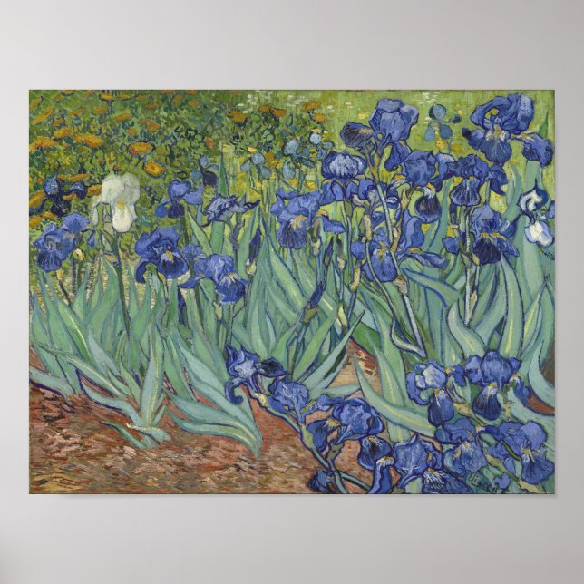 Pôster Cartaz de Íris de van Gogh (Frente)