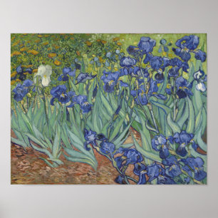 Pôster Cartaz de Íris de van Gogh
