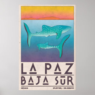 Poster Cartaz de La Paz México, Tubarões-baleia, Azul Cam