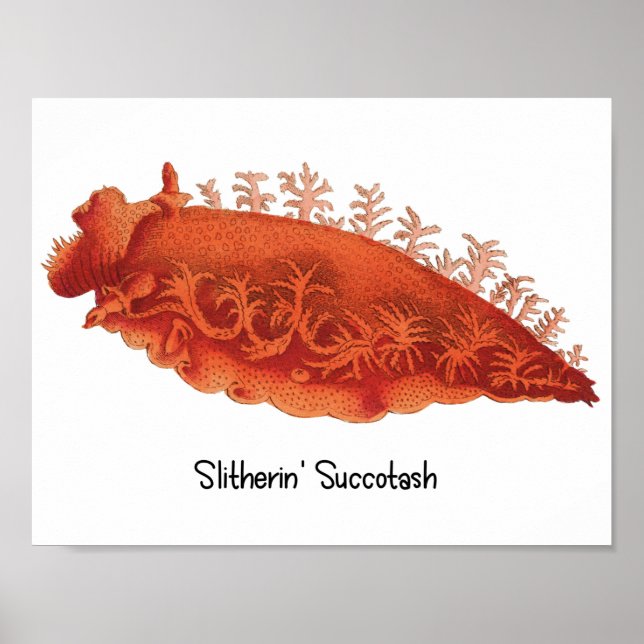 Poster Cartaz de Lesma Marinha 'Slitherin' Succotash' (Frente)