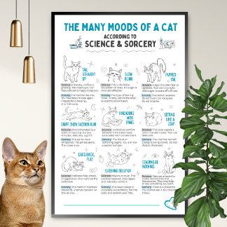 Poster Cartaz de Linguagem Corporal de Gato Engraçado – G