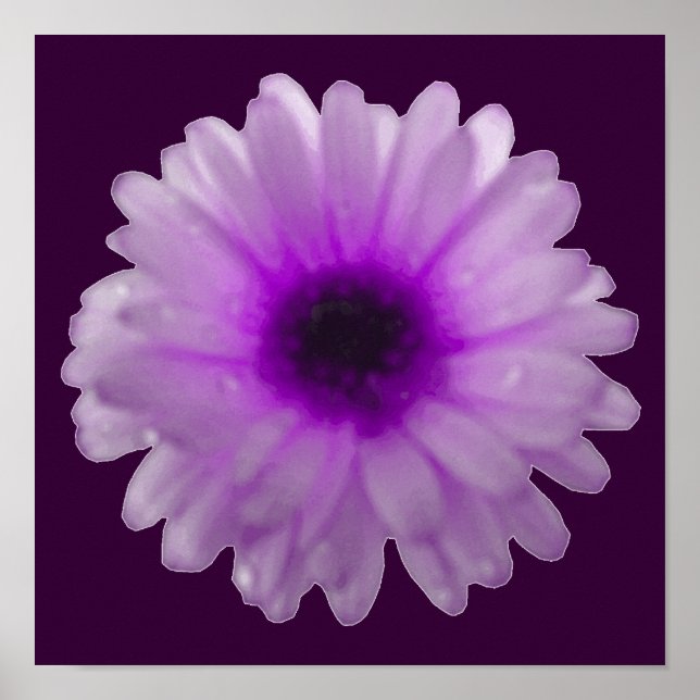 Pôster Cartaz de Marigold Branco e Roxo (Frente)