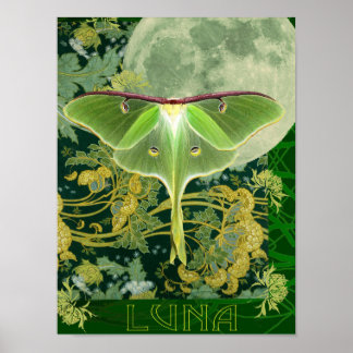 Poster Cartaz de Mariposa Luna e Lua, Colagem da Natureza