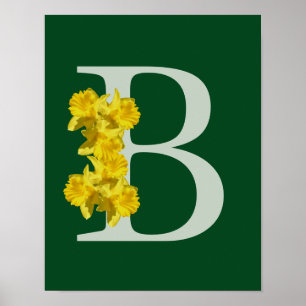 Poster Cartaz de Monograma de Narciso Inicial B